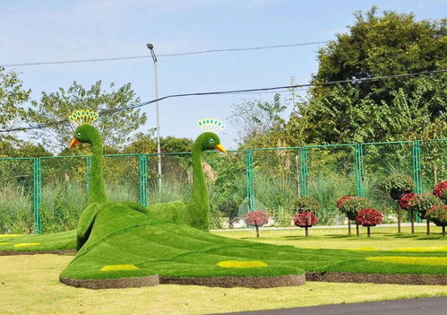 長頸鹿仿真綠雕造型現貨批發價 成都仿真綠雕專業定制廠家