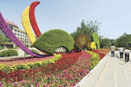 五色草鮮花真植物雕塑廠家定制價(jià)格 四川成都五色草雕塑廠家批發(fā)定制